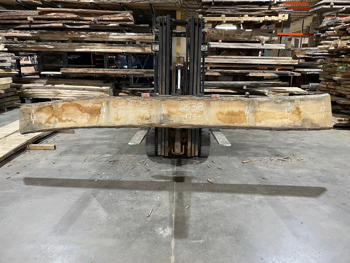 Ash (2538)  173” L x 12-17” W x 2.5” T