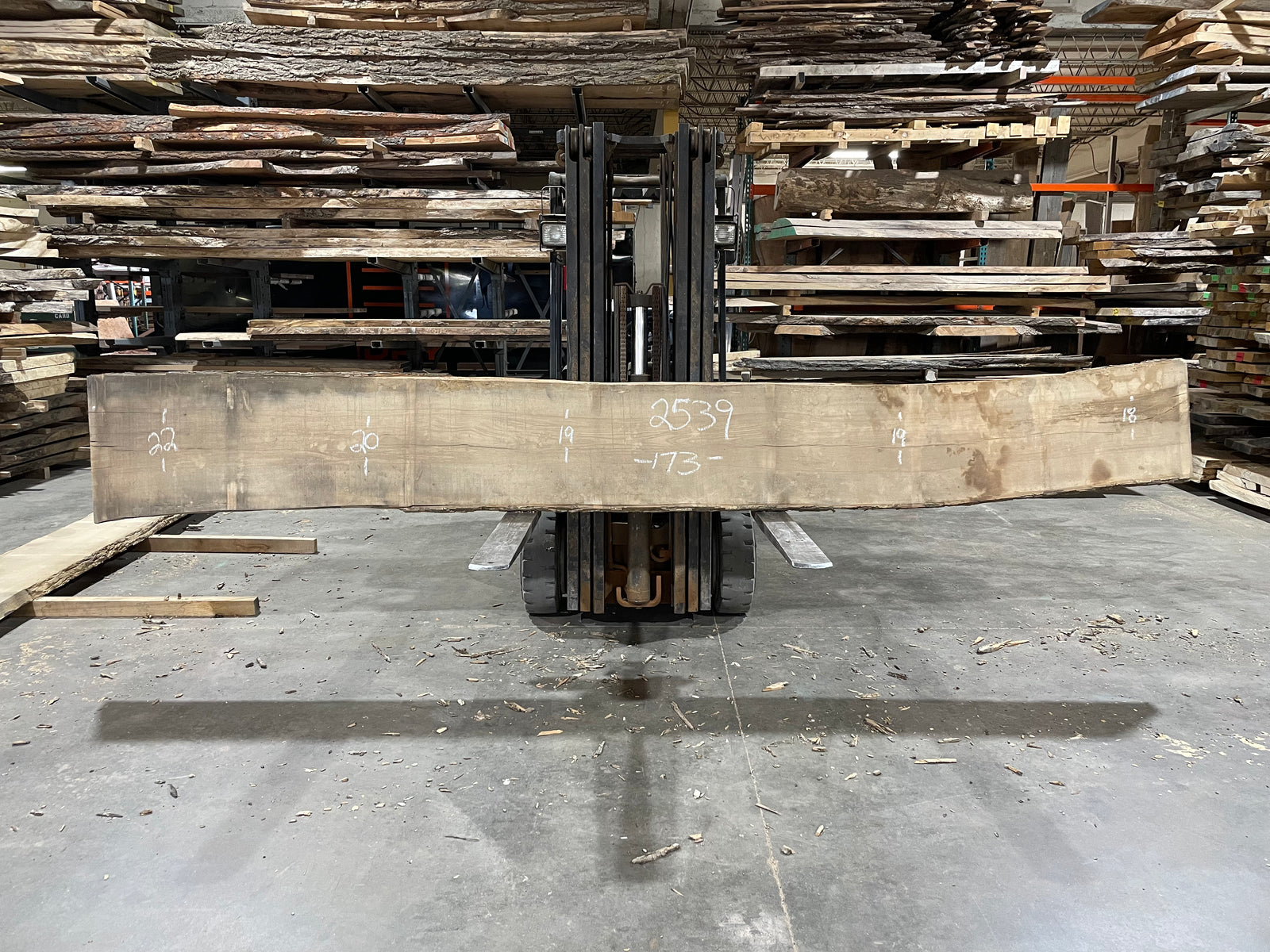 Ash (2539)  173” L x 18-22” W x 2.5” T