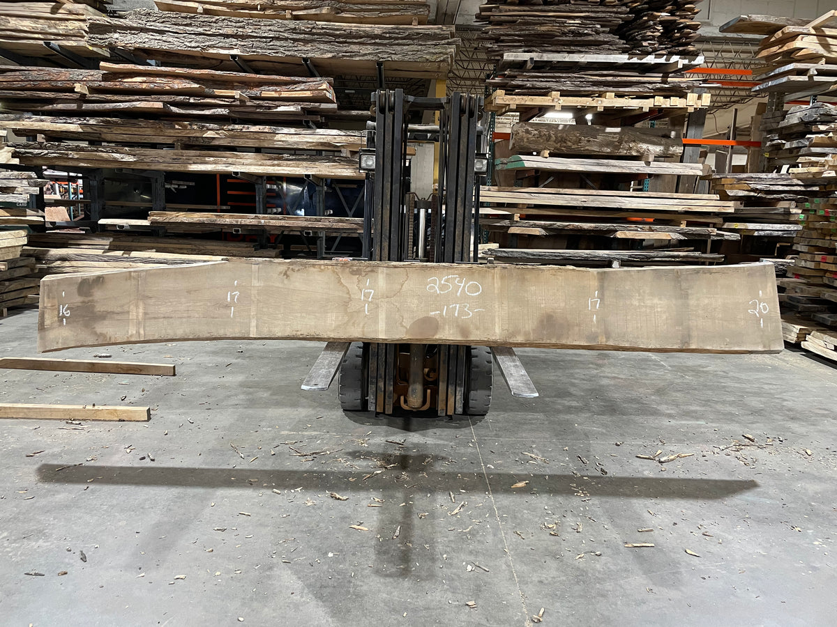 Ash (2540)  173” L x 16-20” W x 2.5” T