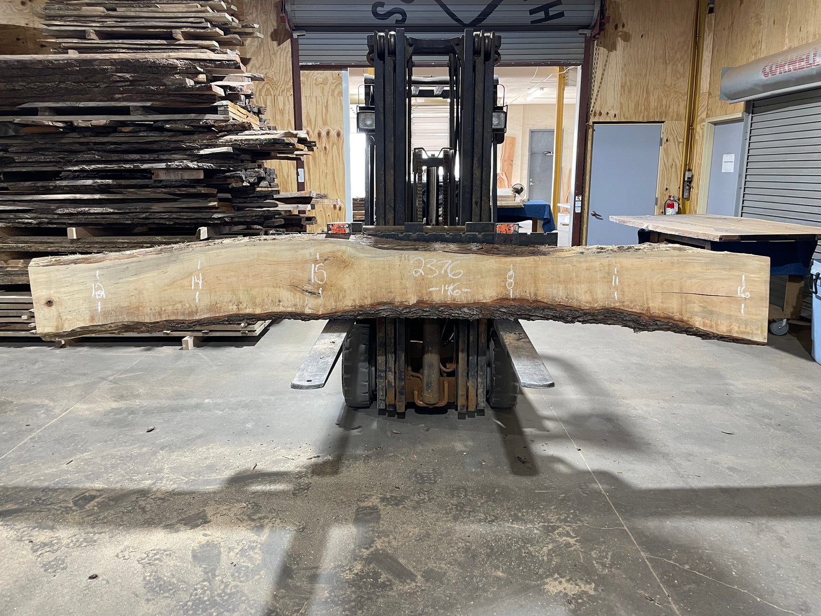 Maple (2376)  146” L x 8-16” W x 2.25” T