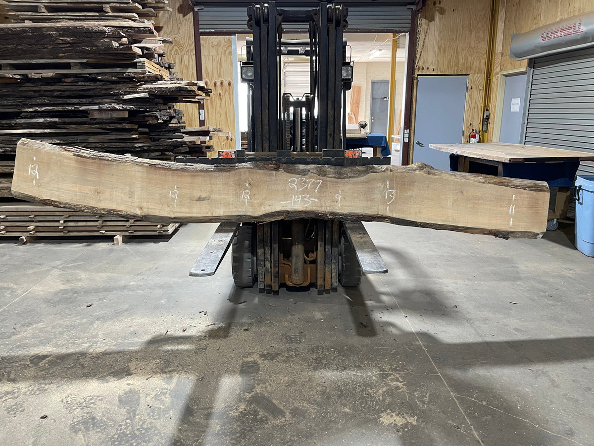 Maple (2377)  143” L x 9-13” W x 2.25” T