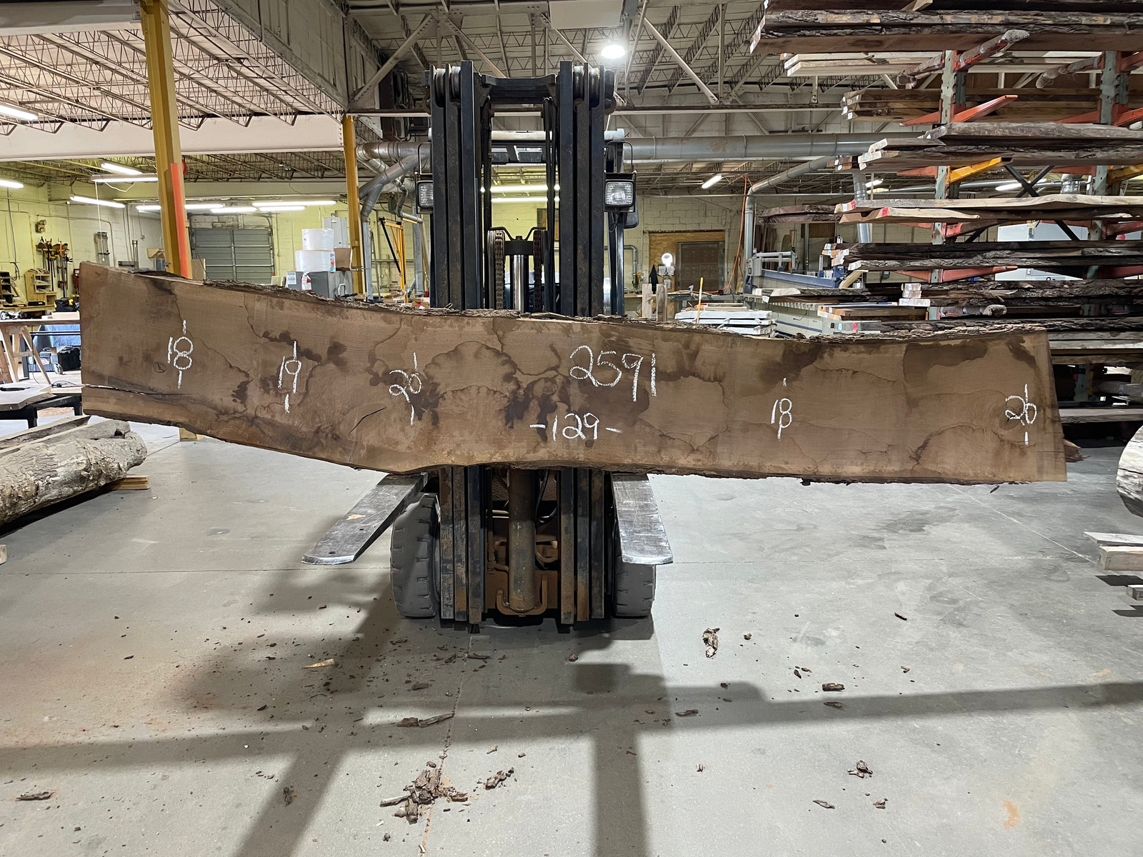 WALNUT (2591)  129” L x 18-20” W x 2.25” T