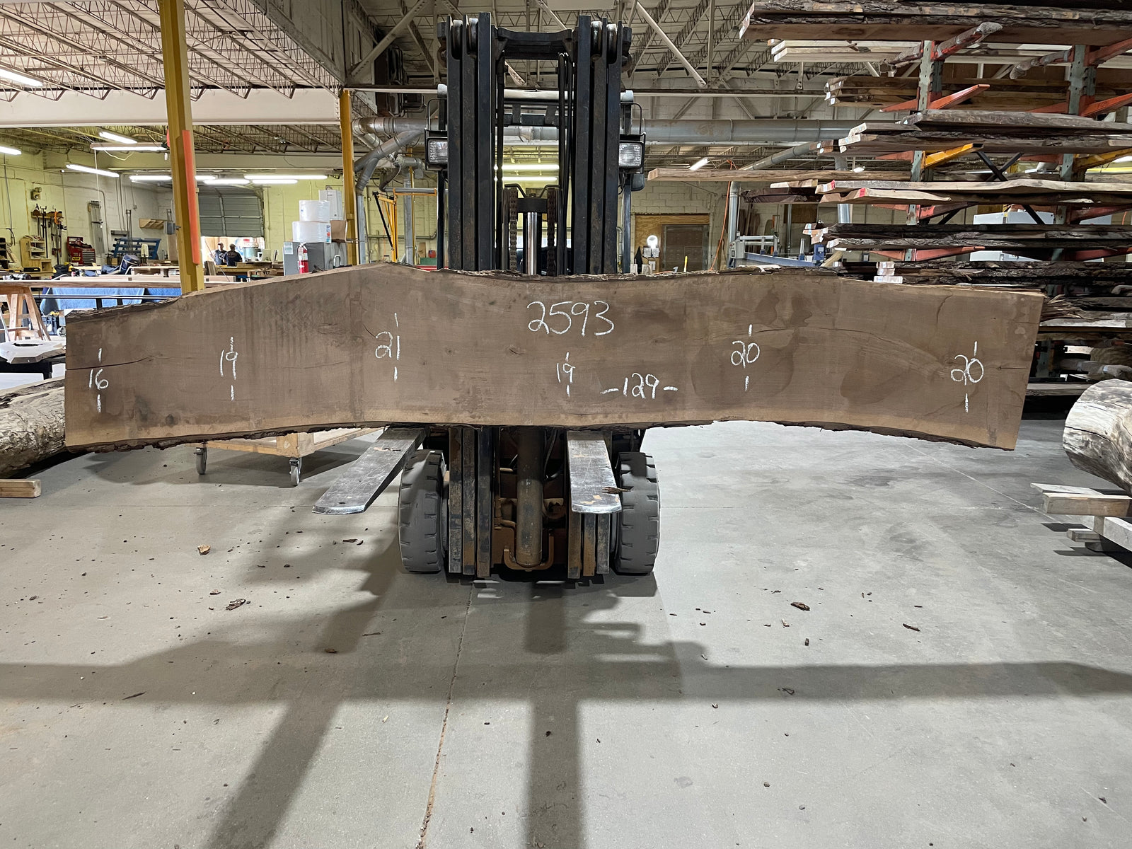 WALNUT (2593)  129” L x 16-21” W x 2.25” T