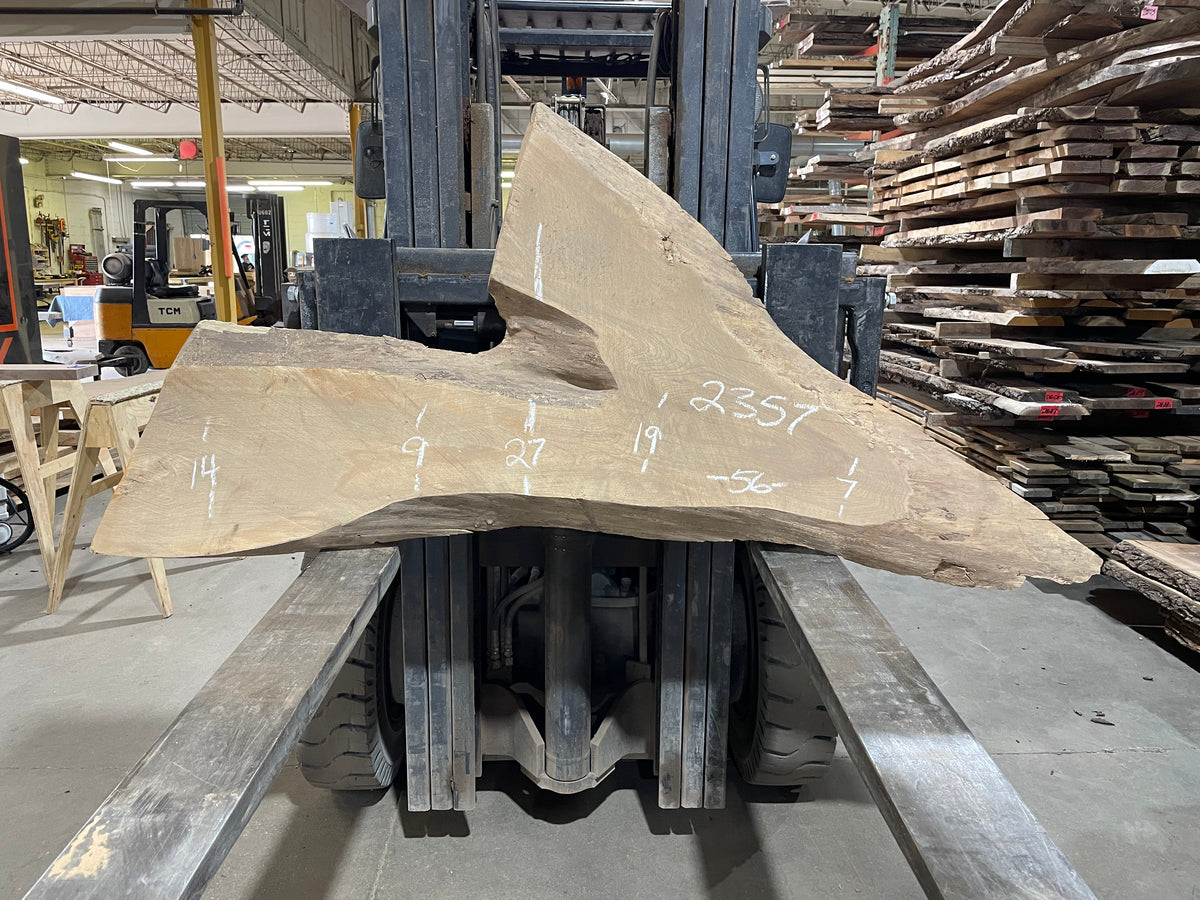 SIBERIAN ELM (2357) 56” L X 7-27” W X 2.5” T