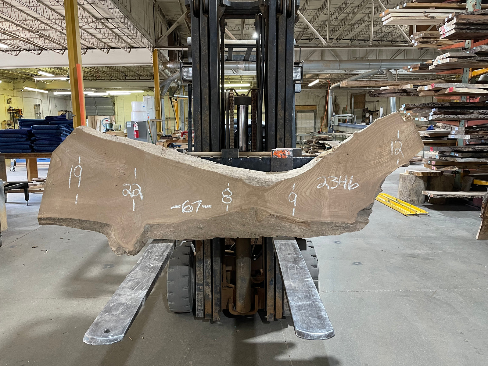 Red Elm (2346) 67” L x 8-22” W x 2.25” T