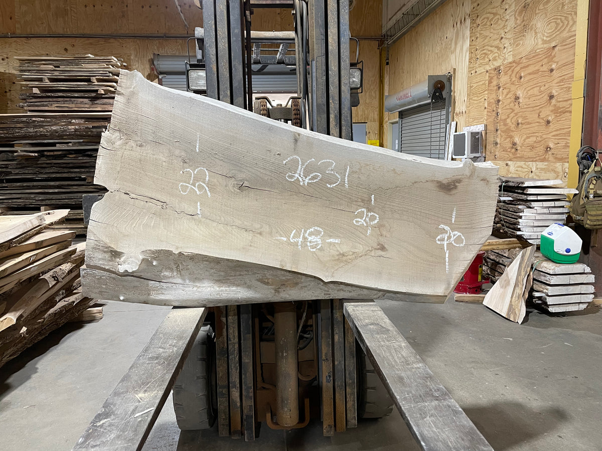 SIBERIAN ELM (2631) 48” L X 20-22” W X 3” T
