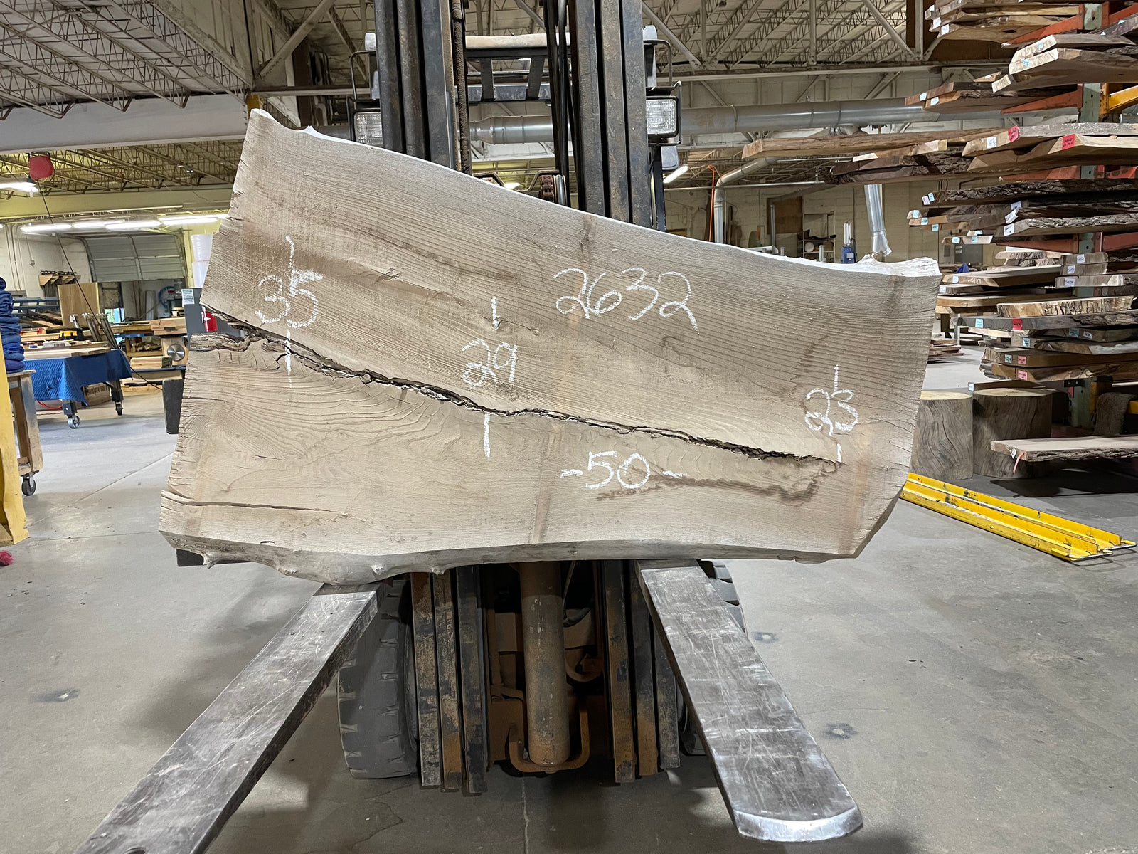 SIBERIAN ELM (2632) 50” L X 23-35” W X 2.75” T