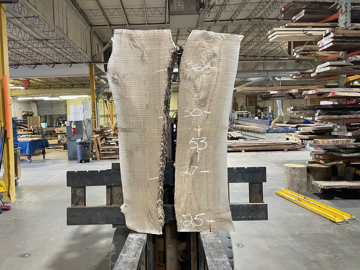 SIBERIAN ELM (2633) 53” L X 25-36” W X 3” T
