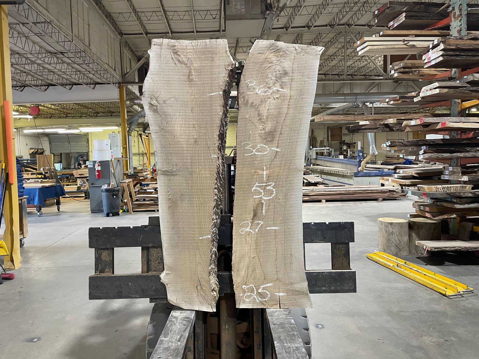 SIBERIAN ELM (2633) 53” L X 25-36” W X 3” T