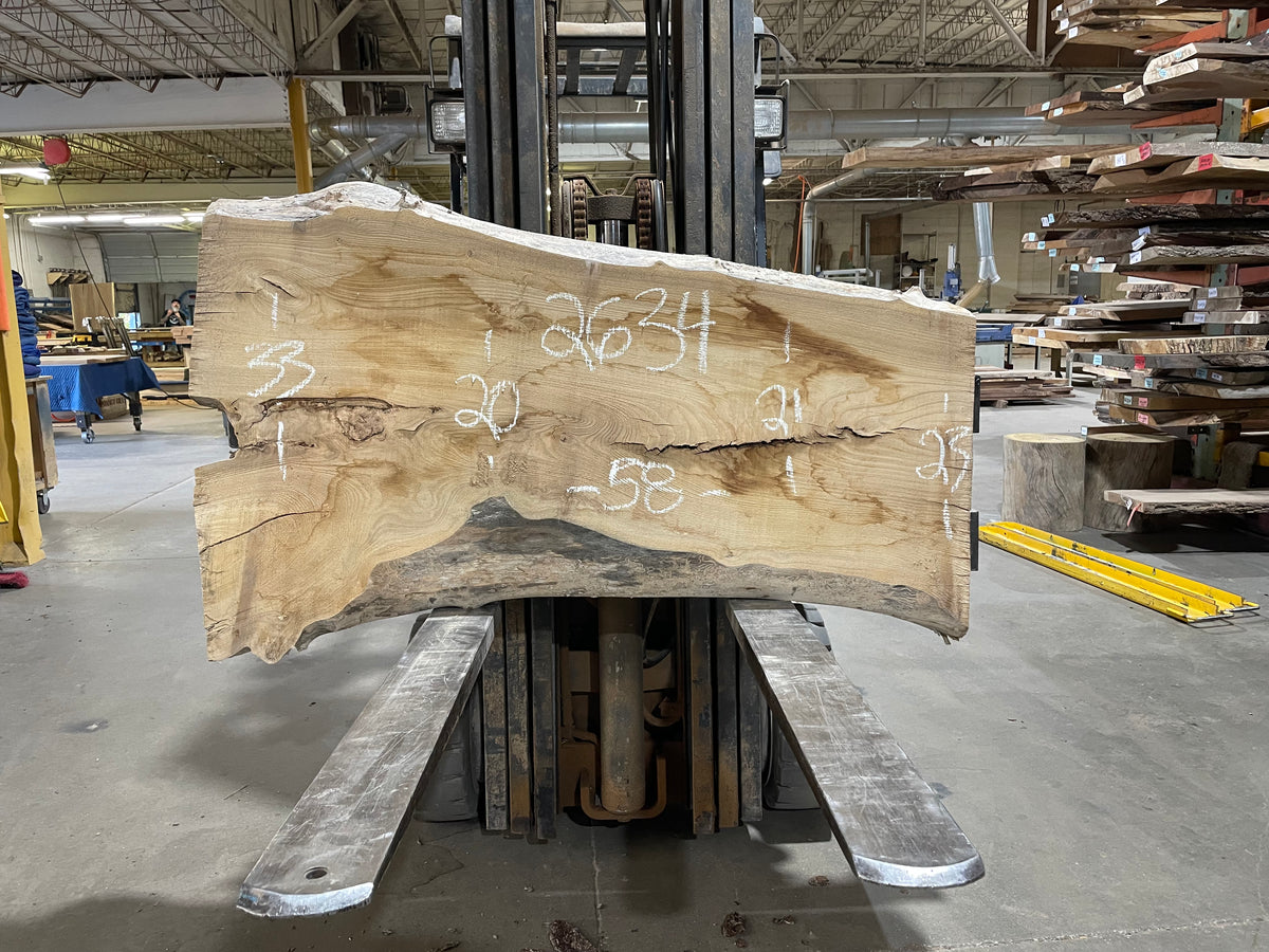 SIBERIAN ELM (2634) 58” L X 20-33” W X 3” T