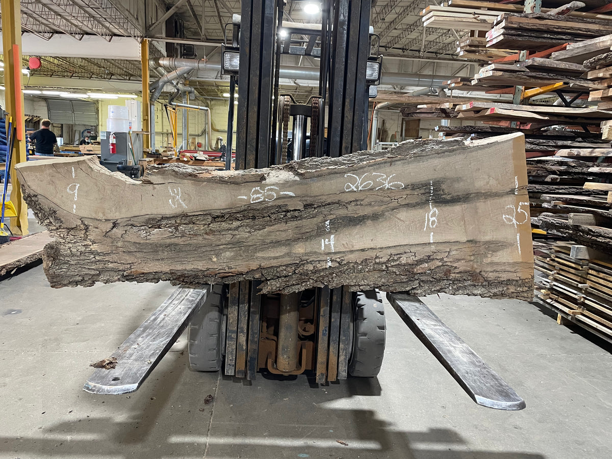 SIBERIAN ELM (2636) 85” L X 9-25” W X 2.5” T