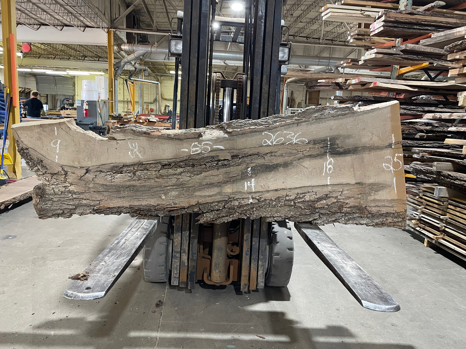 SIBERIAN ELM (2636) 85” L X 9-25” W X 2.5” T