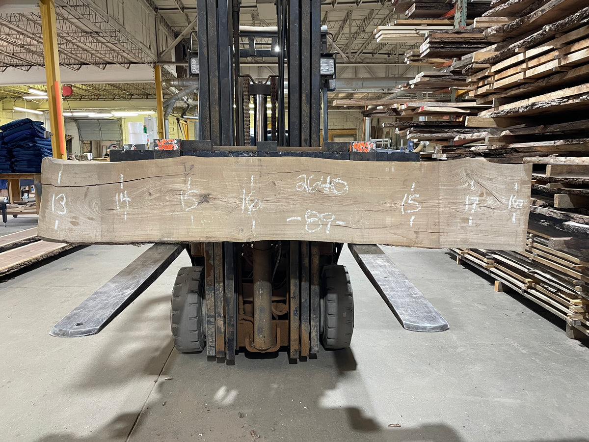 SIBERIAN ELM (2640) 89” L X 13-17” W X 2.25” T