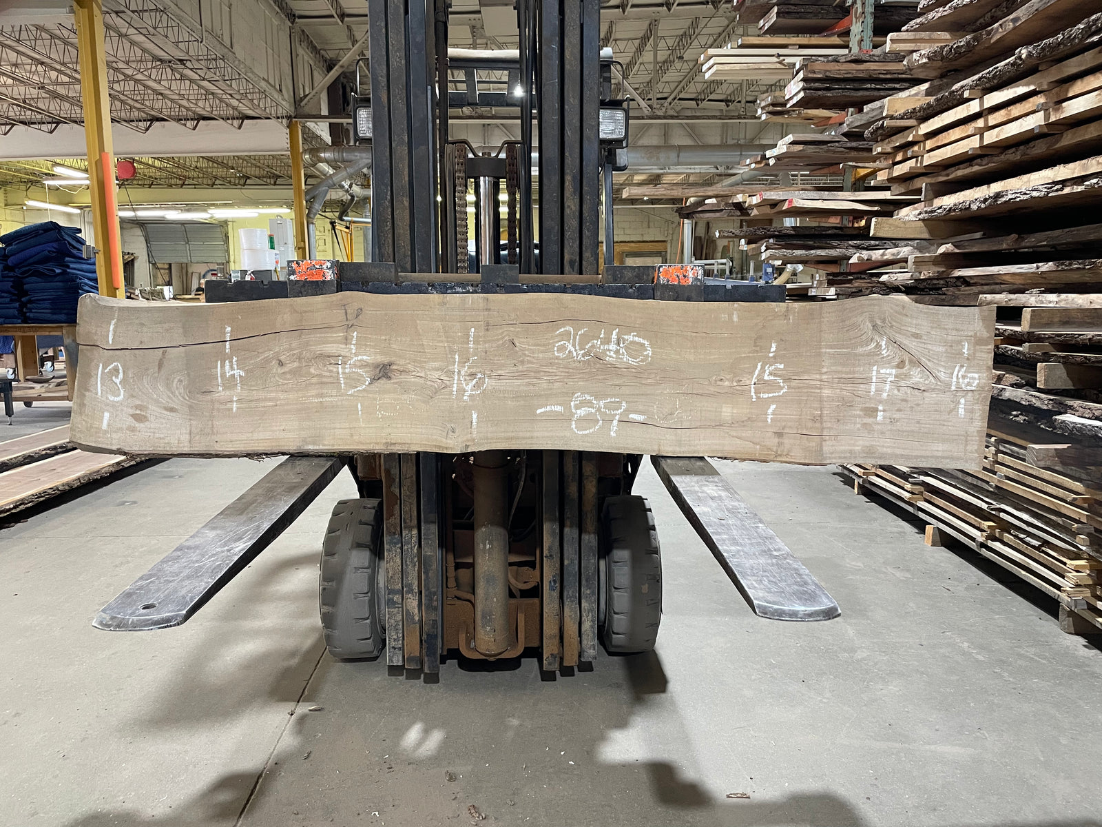 SIBERIAN ELM (2640) 89” L X 13-17” W X 2.25” T