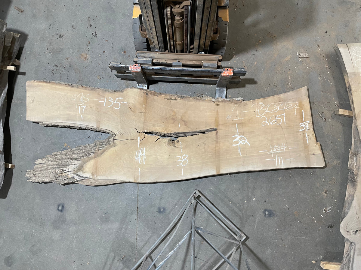 SIBERIAN ELM (2651) 135” L X 32-44” W X 2.75” T