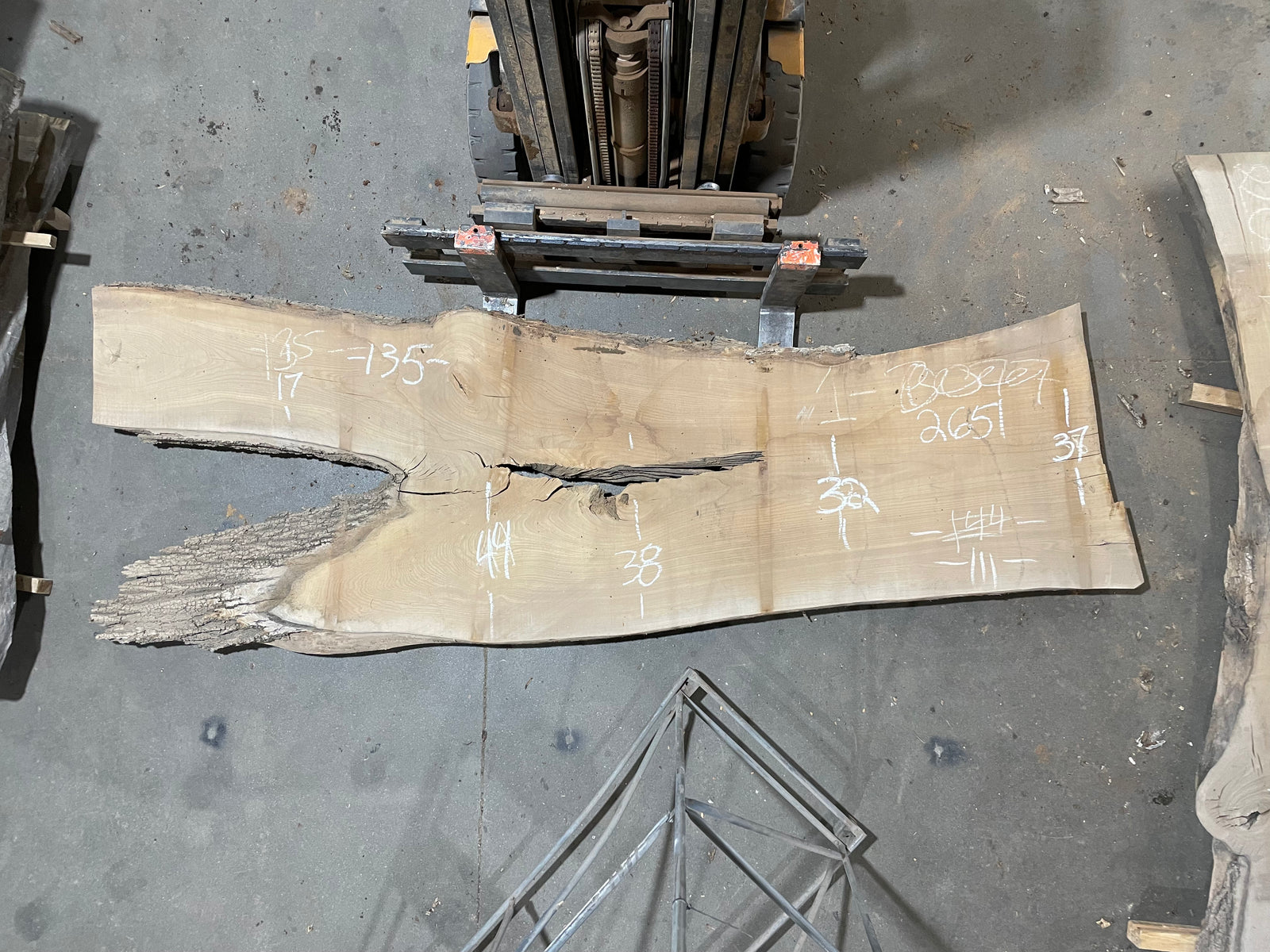 SIBERIAN ELM (2651) 135” L X 32-44” W X 2.75” T