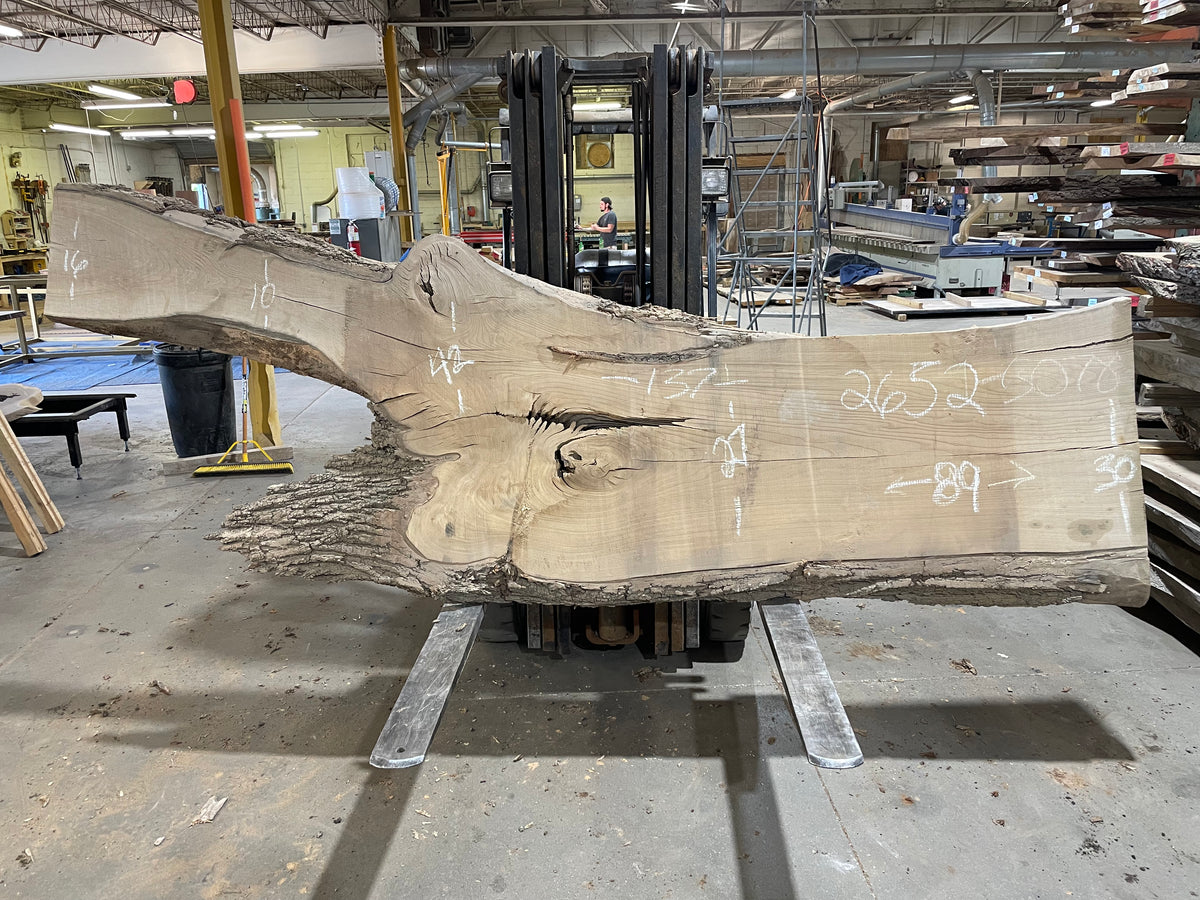 SIBERIAN ELM (2652) 137” L X 27-42” W X 2.75” T