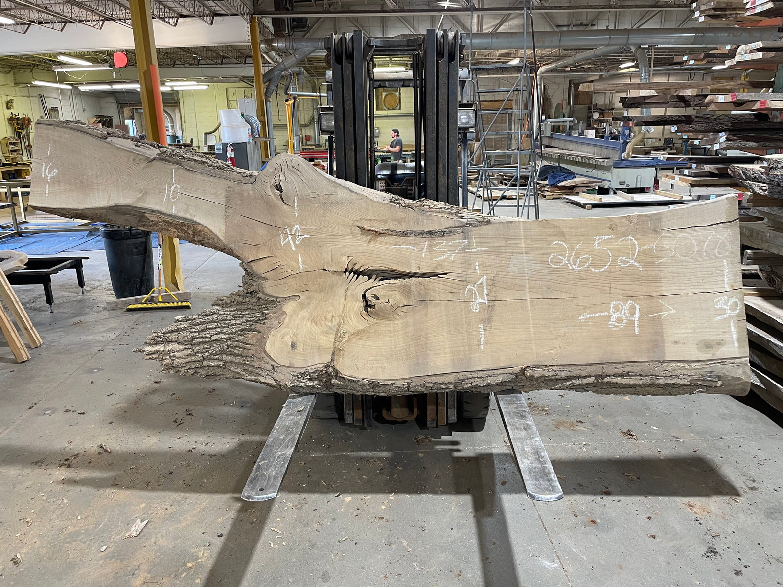 SIBERIAN ELM (2652) 137” L X 27-42” W X 2.75” T