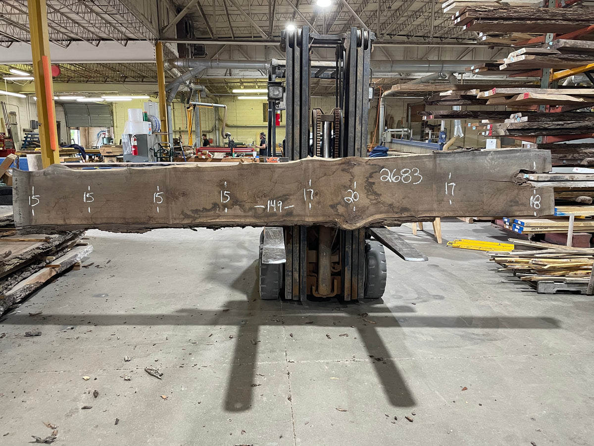WALNUT (2683)  149” L x 15-20” W x 2.75” T