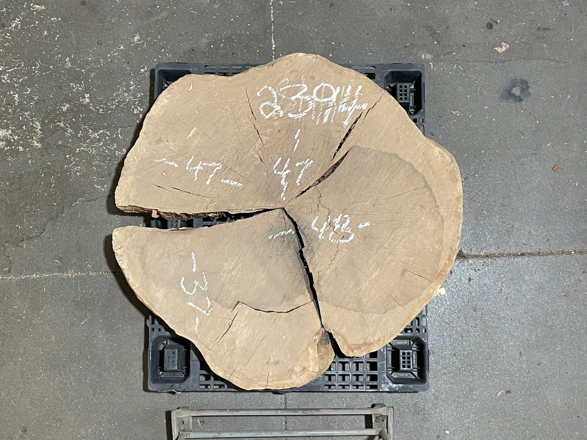 Red Oak Crosscut (2394)  48” L x 47” W x 5” T