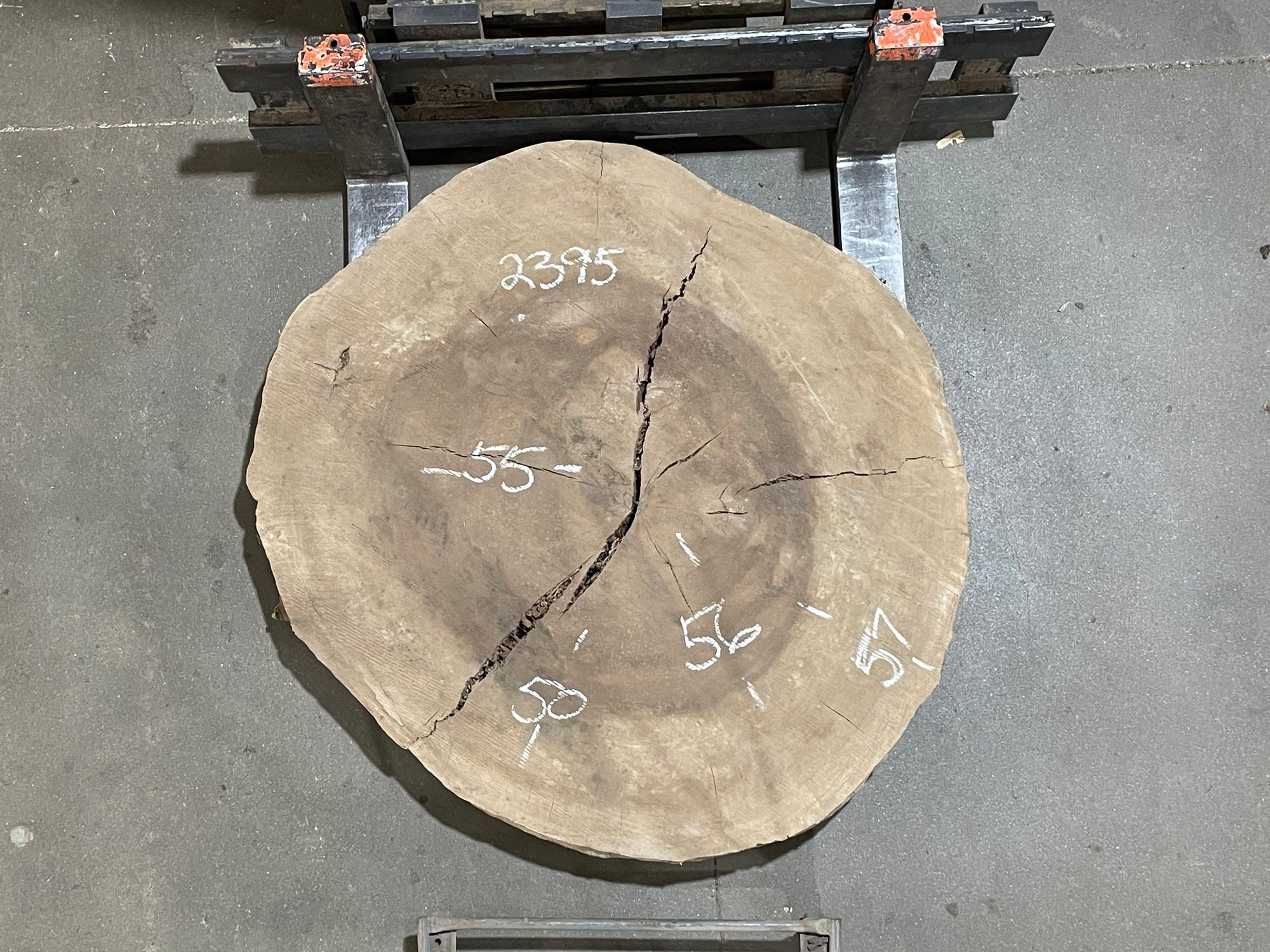 Sycamore Crosscut (2395)  57” L x 50” W x 4” T