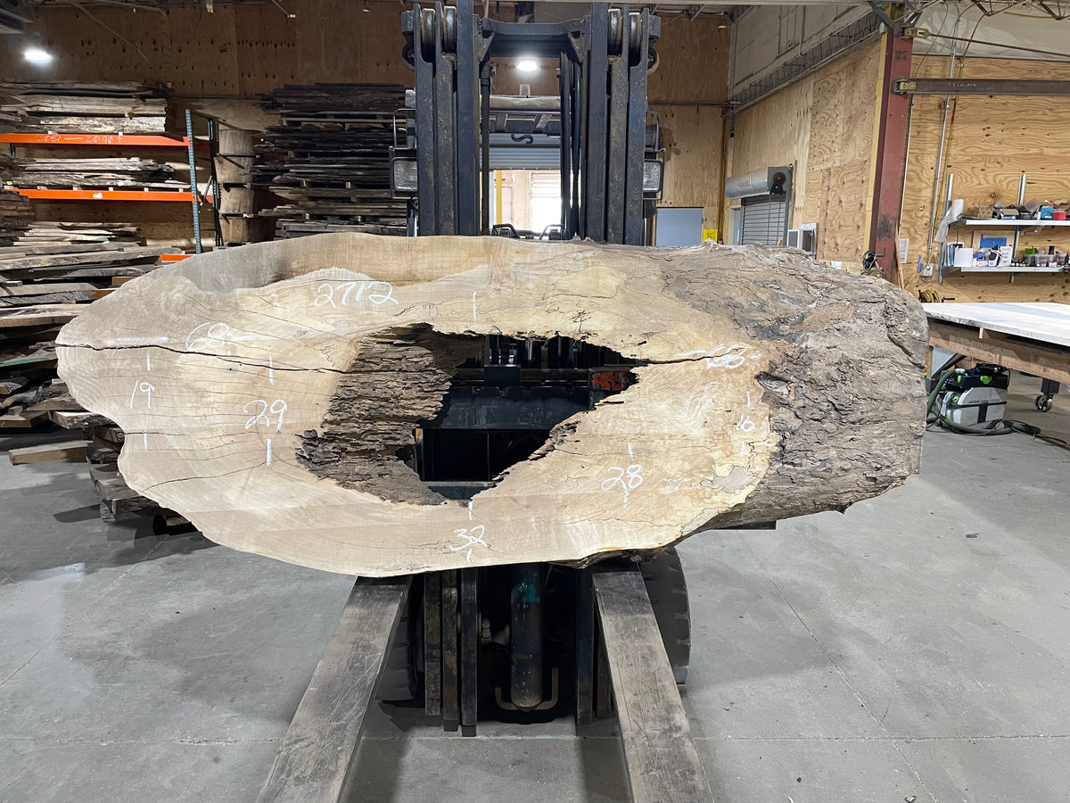 Hard Maple Crosscut (2712)  68” L x 16” W x 6” T