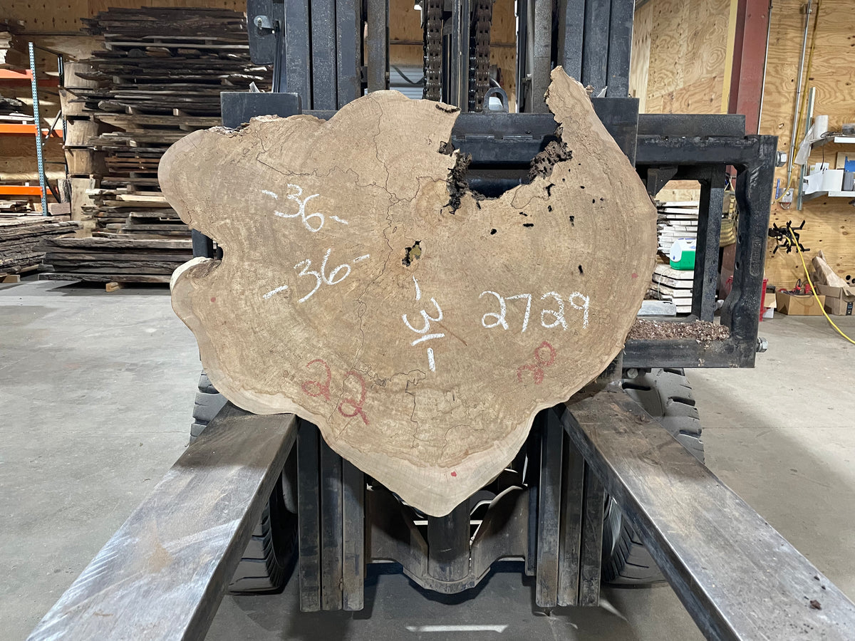 Maple Crosscut (2729)  36” L x 31” W x 3.75” T