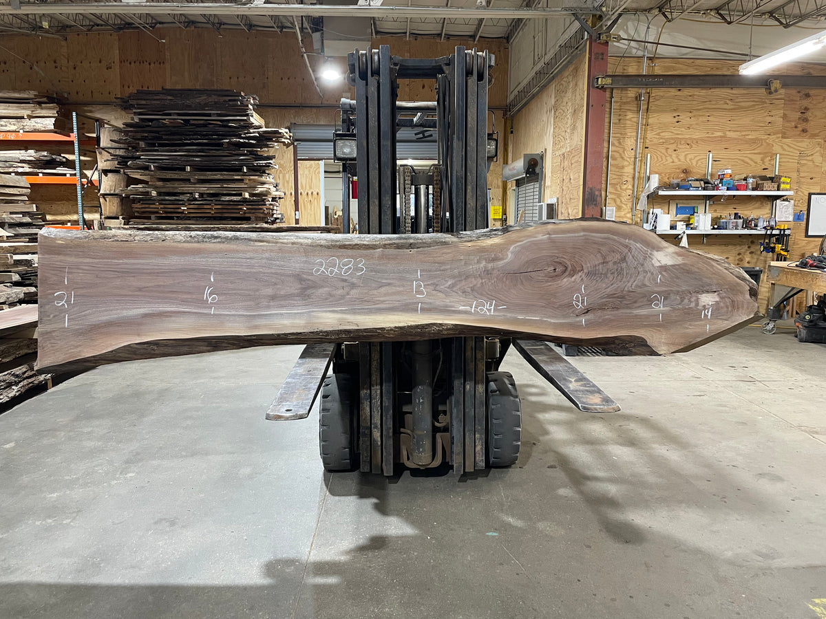 Walnut (2283) 124” L x 13-21” W x 2.25&quot;