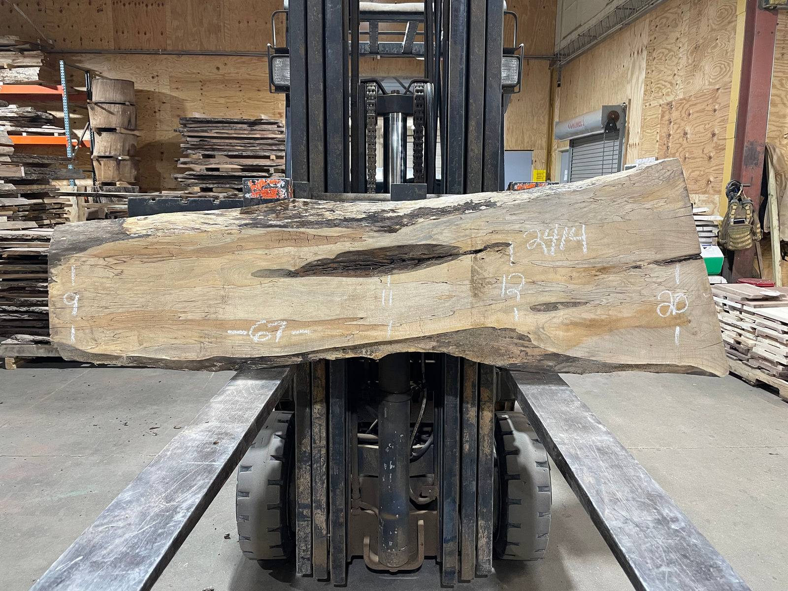 Spalted Maple (2414) 67" L x 9-20" W x 1.5" T