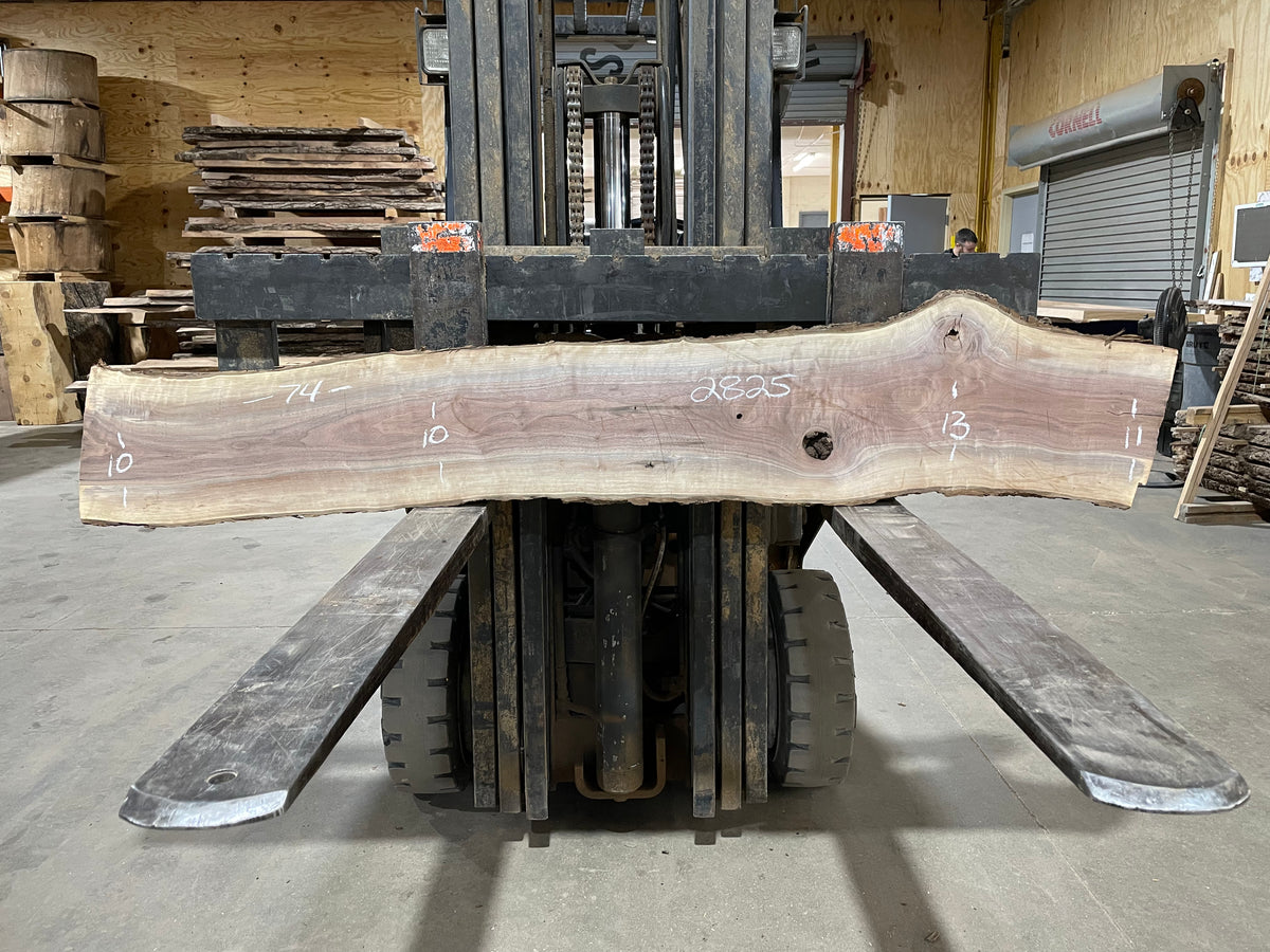 Black Walnut (2825)  74” L x 10-13” W x 2” T