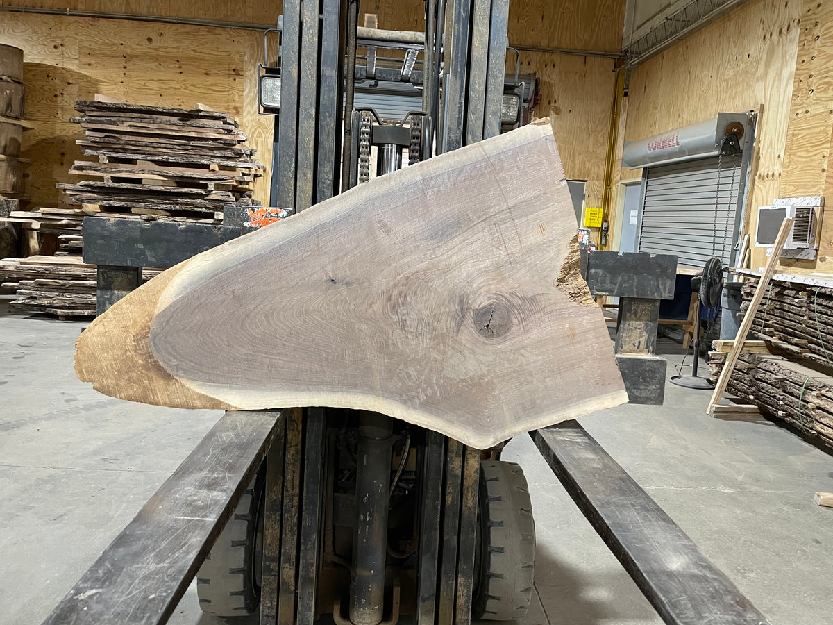 Black Walnut (2828)  41” L x 14-27” W x 2” T