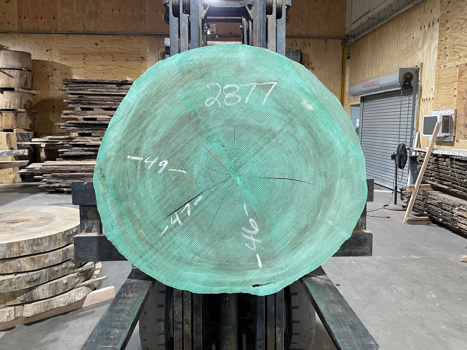 Sycamore Cross cut (2877)  49” L x 46” W x 4” T