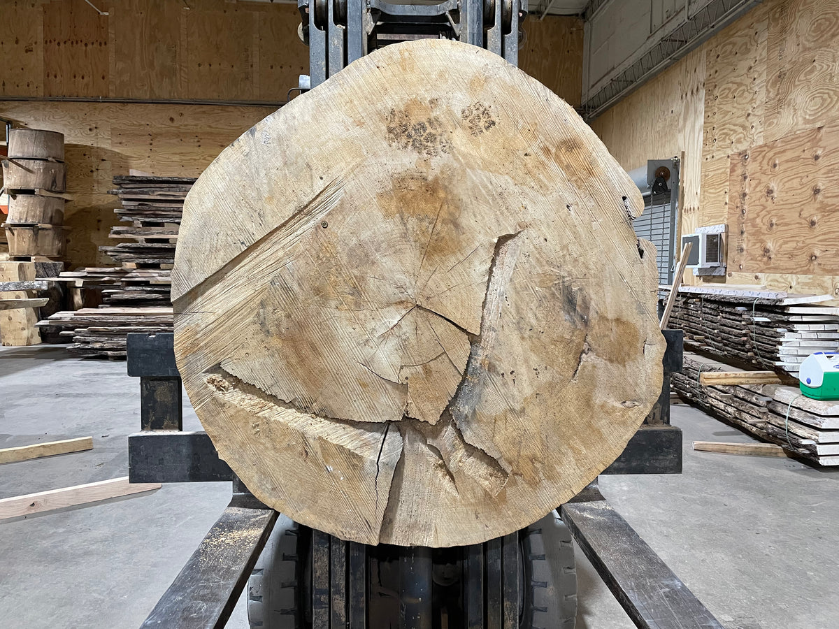 Sycamore Cross cut (2882)  50” L x 48” W x 3” T