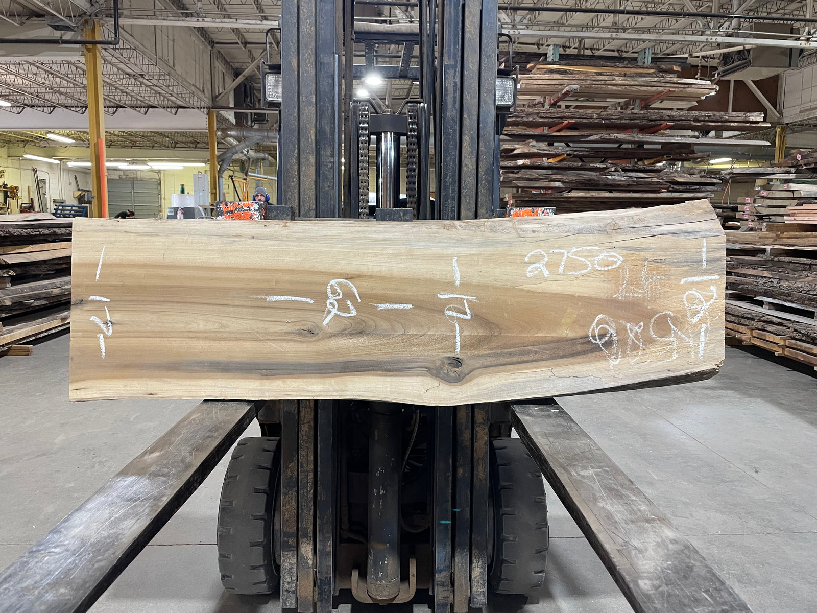 Poplar (2750) 62" L x 12-17" W x 3.5" T