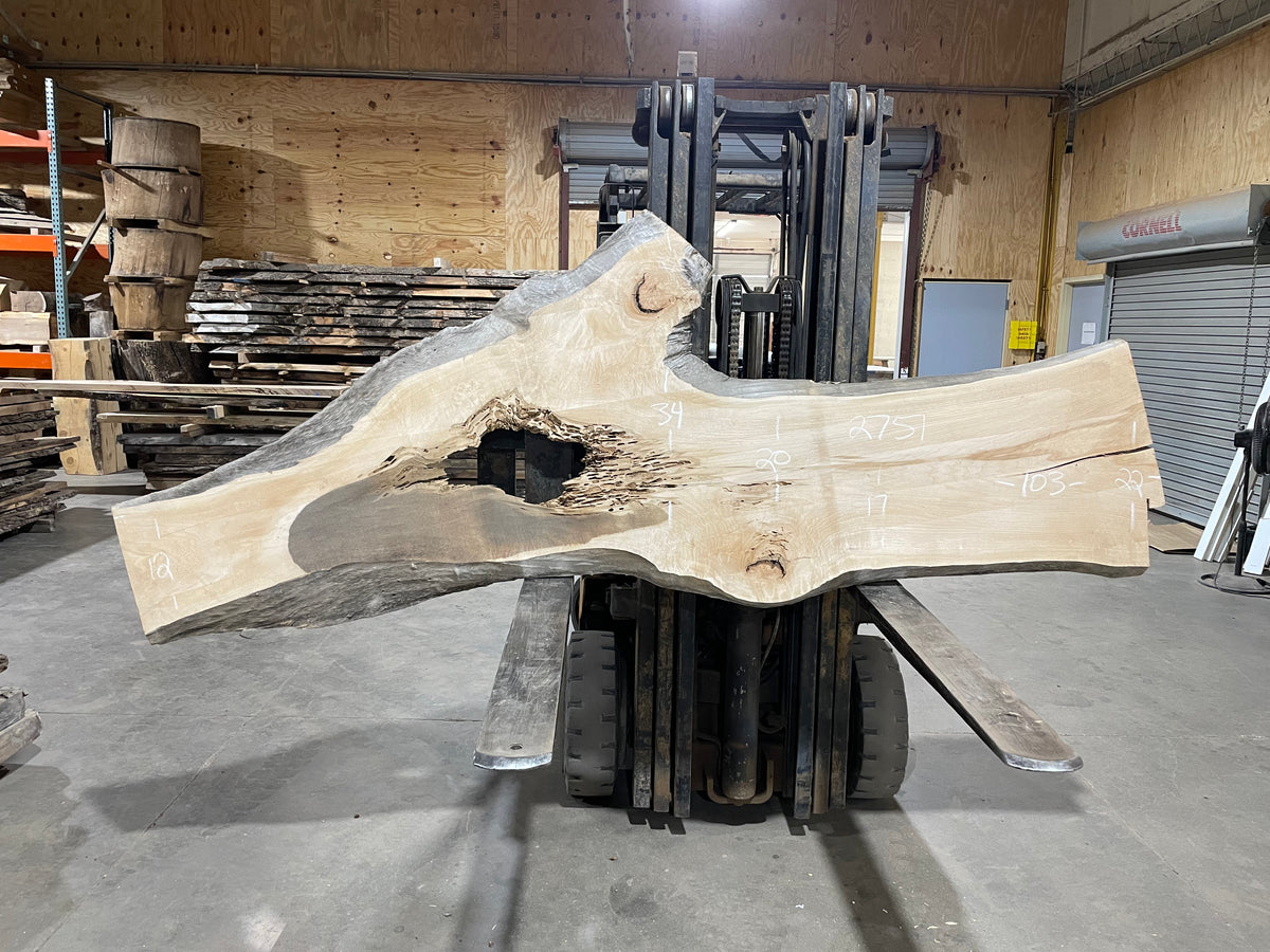 Poplar (2751) 103&quot; L x 12-34&quot; W x 2&quot; T