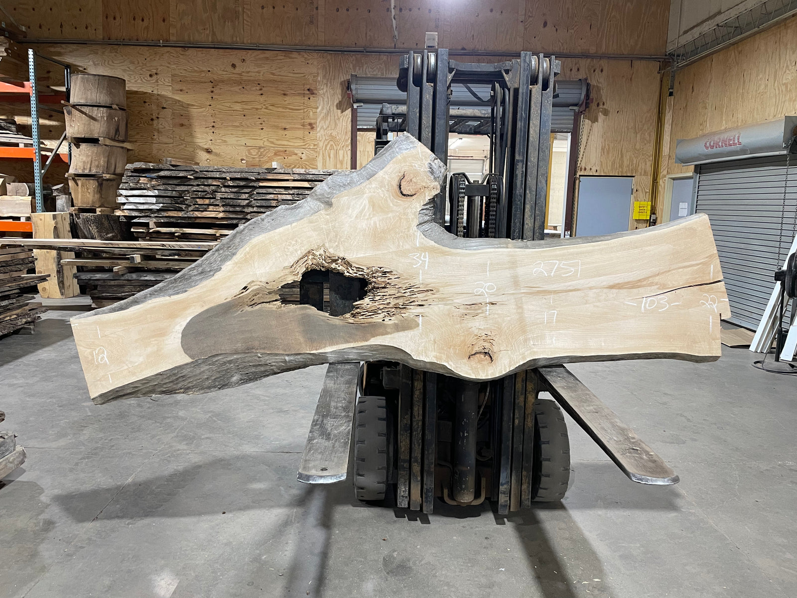 Poplar (2751) 103" L x 12-34" W x 2" T