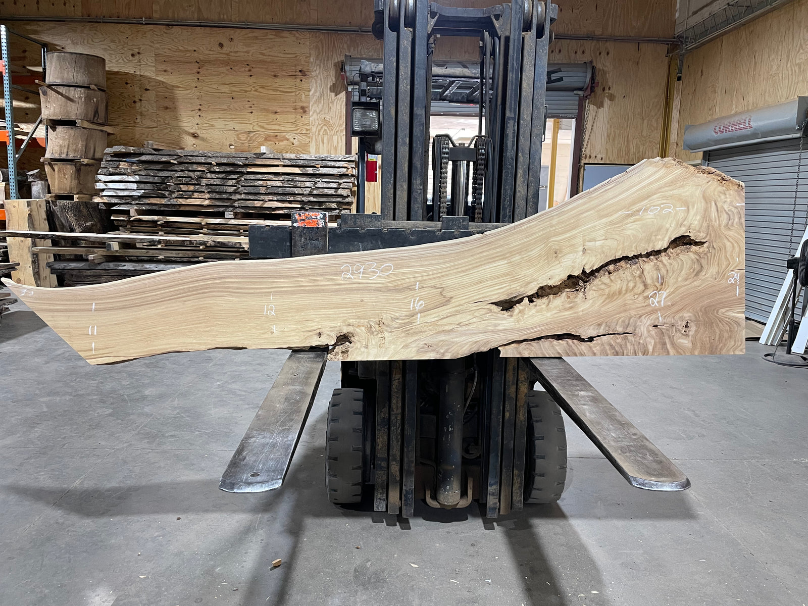 SIBERIAN ELM (2930) 102” L X 11-27” W X 2” T
