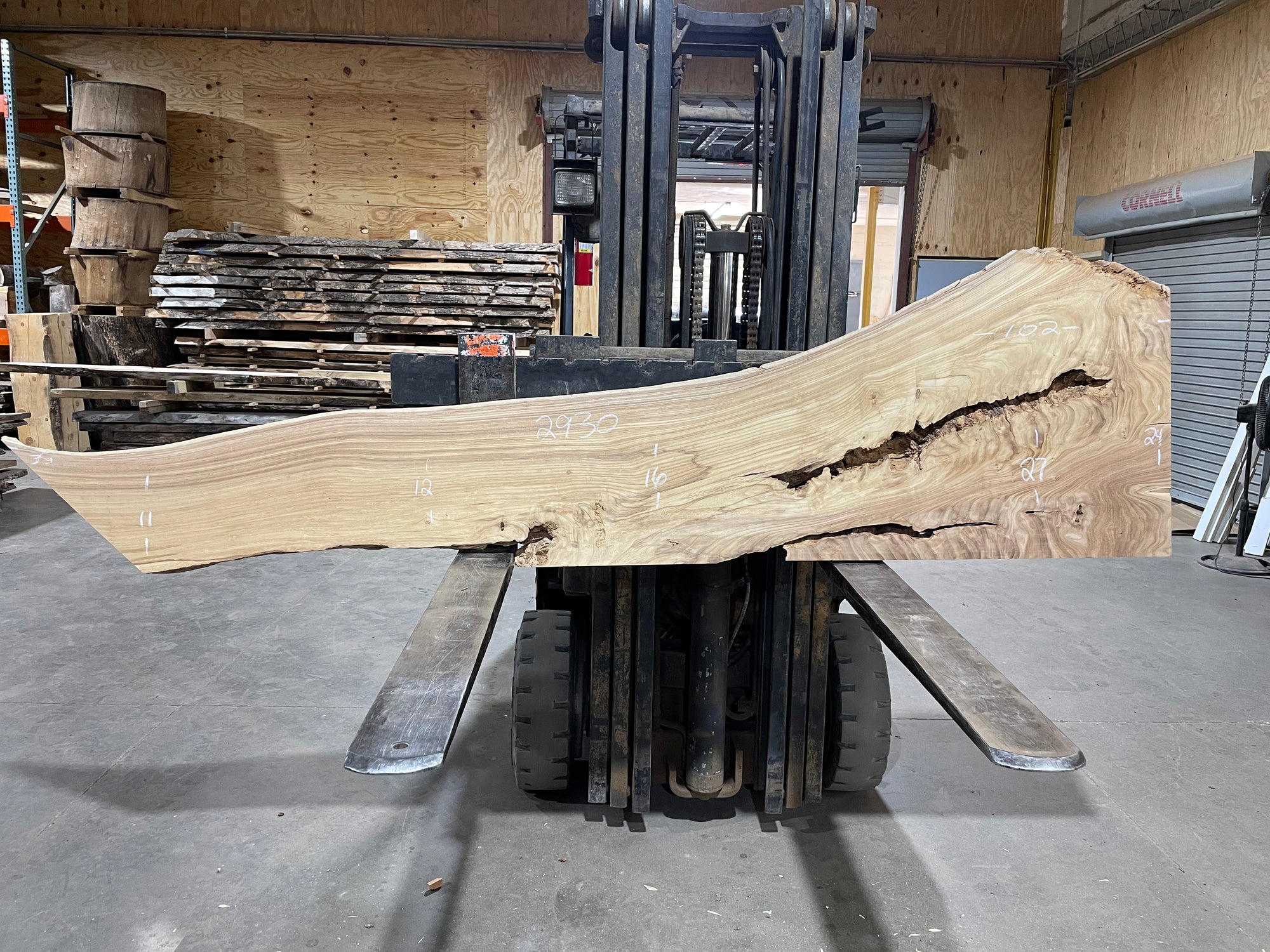 SIBERIAN ELM (2930) 102” L X 11-27” W X 2” T