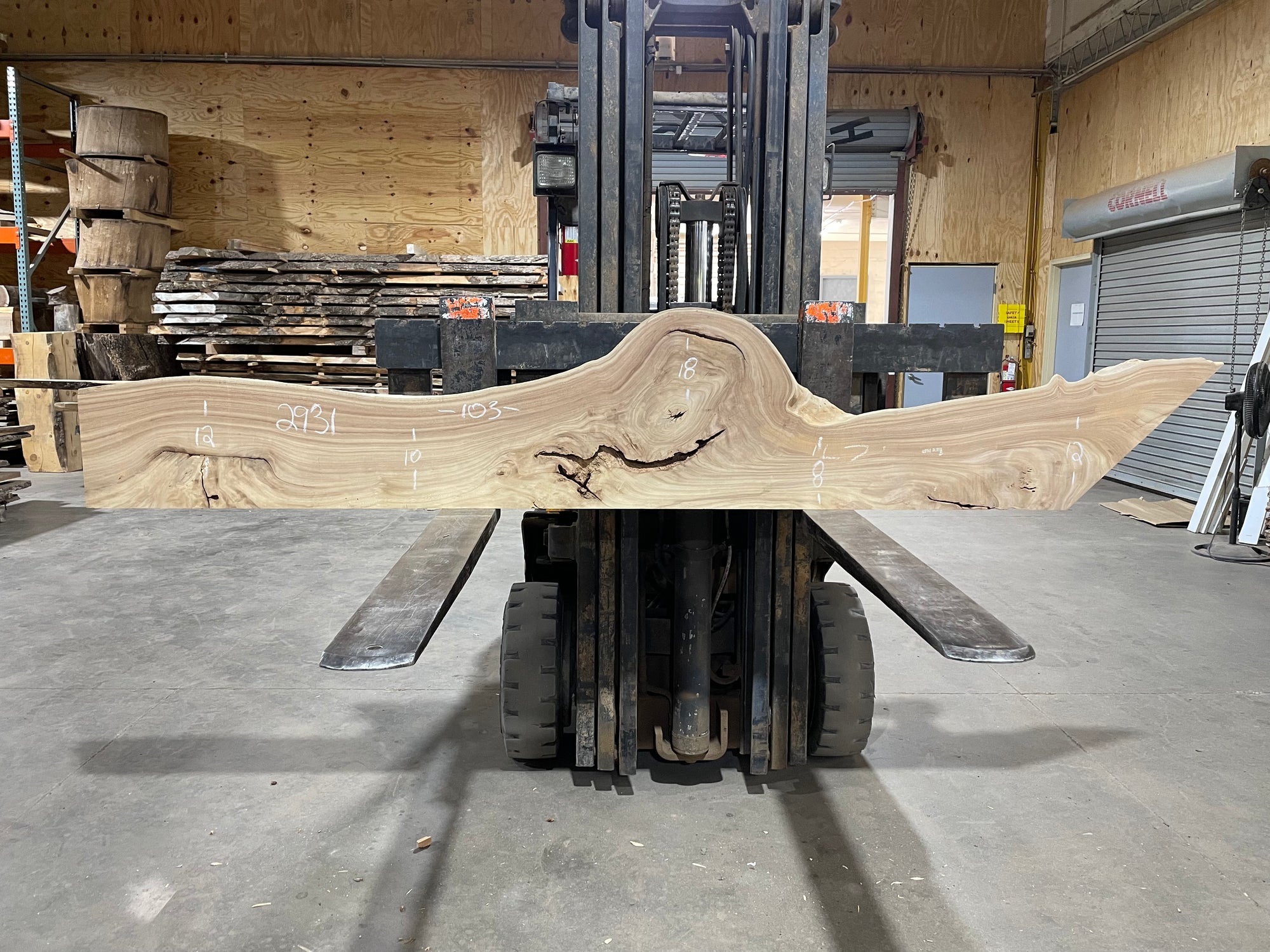 SIBERIAN ELM (2931) 103” L X 8-18” W X 2” T
