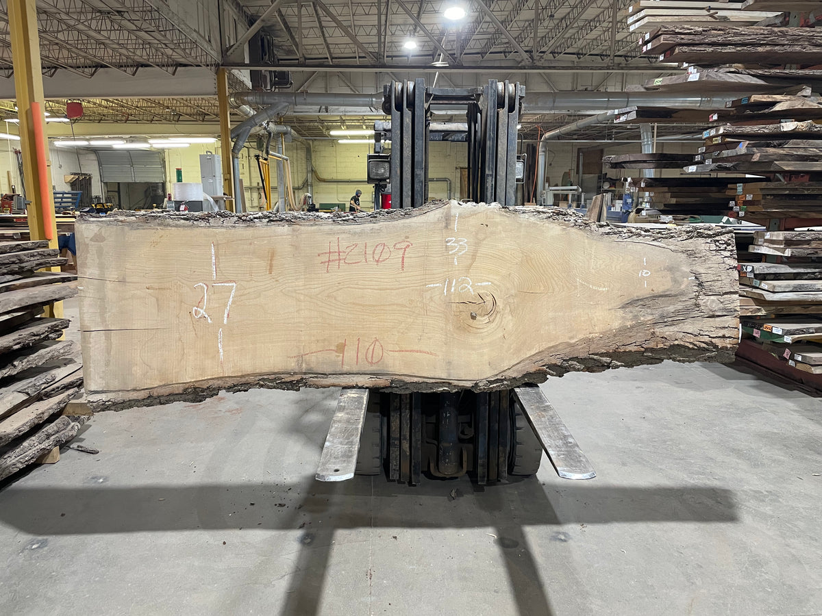 SIBERIAN ELM (2109) 112” L X 27-33” W X 2.5” T
