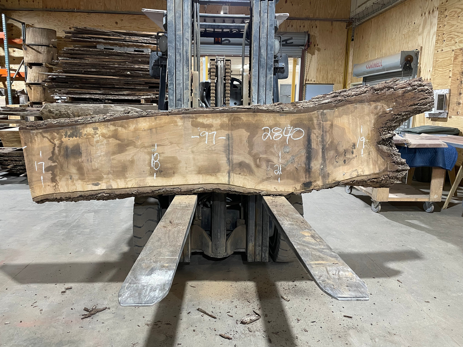 Black Walnut (2840)  97” L x 17-21” W x 2.25” T