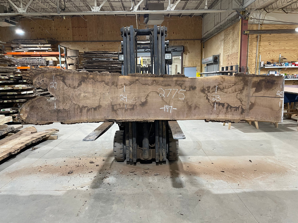 BLACK WALNUT (2775)  147” L x 23-27” W x 2.5” T