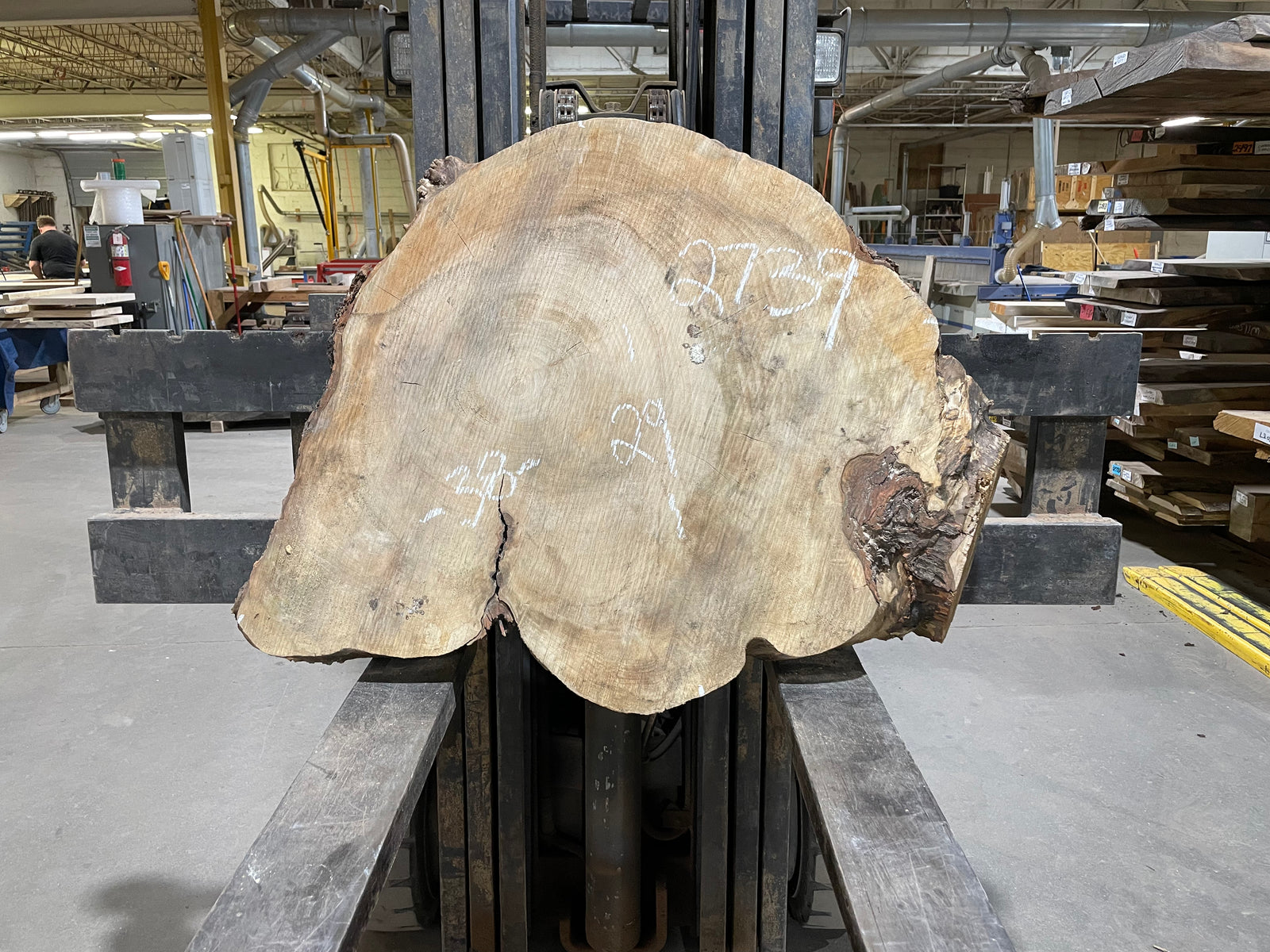 Maple Crosscut (2739)  38” L x 29” W x 4” T