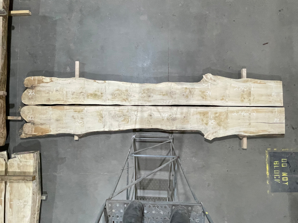 Maple - Bookmatch set (2746) 198&quot; L x 33-49&quot; W x 2.75&quot; T