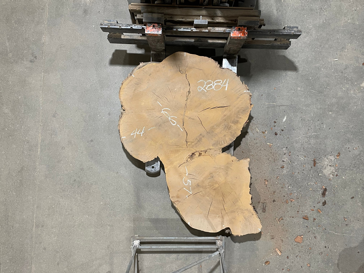 Maple Crosscut (2884)  66” L x 57” W x 4” T