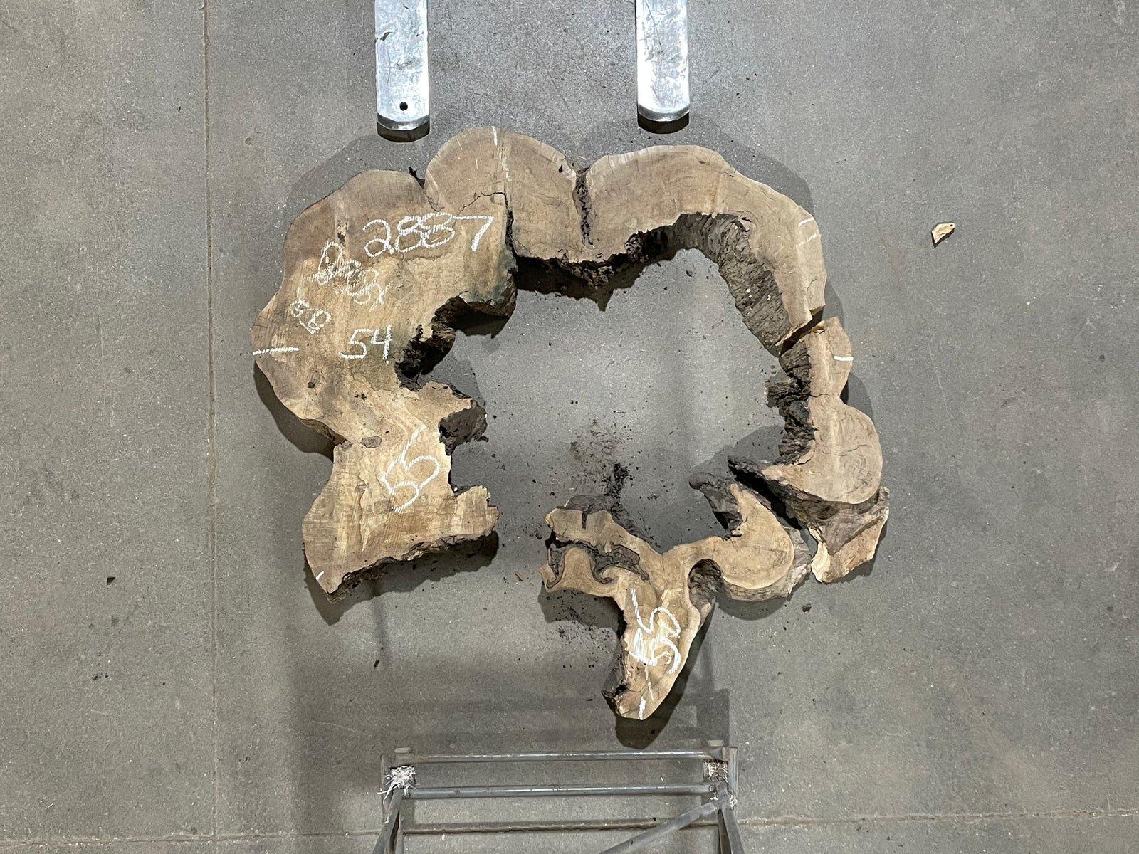 Maple Crosscut (2887)  55” L x 55” W x 4.5” T