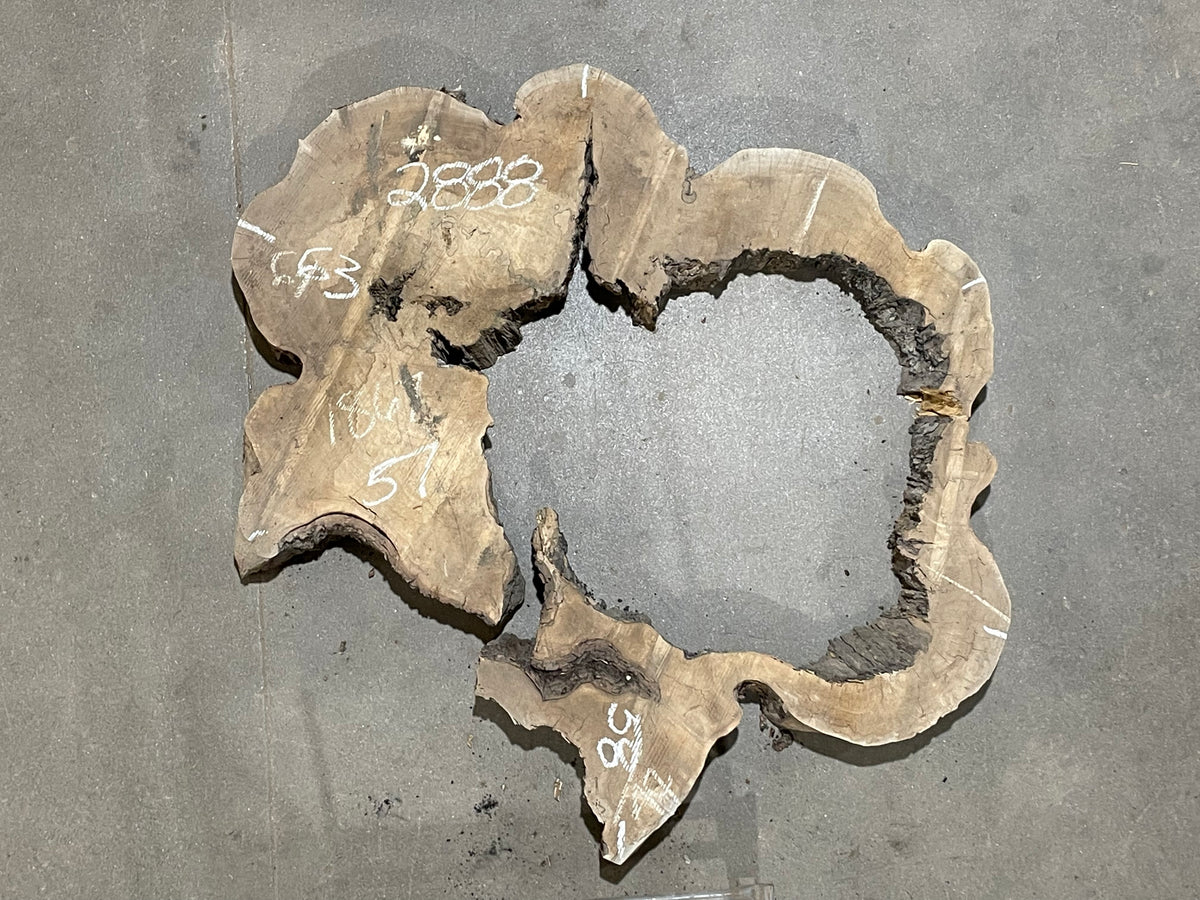 Maple Crosscut (2888)  63” L x 58” W x 4” T