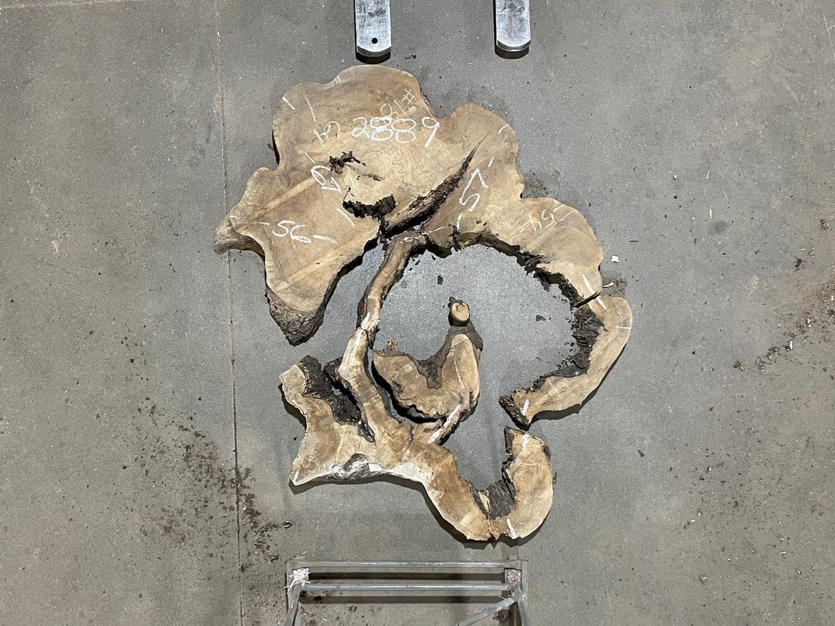 Maple Crosscut (2889)  67” L x 57” W x 3.75” T