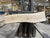 AMERICAN ELM (2754)  60” L x 11-60” W x 1.5” T