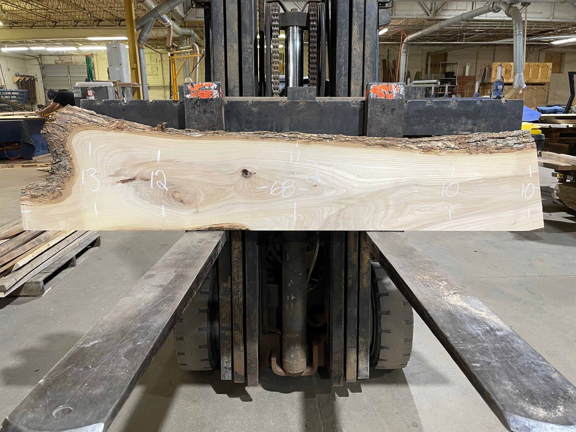 AMERICAN ELM (2755)  68” L x 10-13” W x 1.5” T